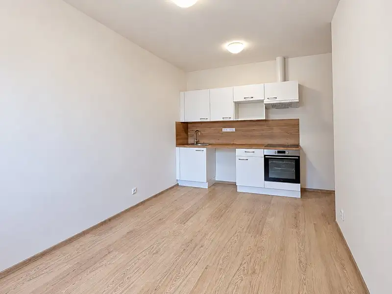 Pronájem bytu 2+kk 30 m², Holasice – náhled fotky 2