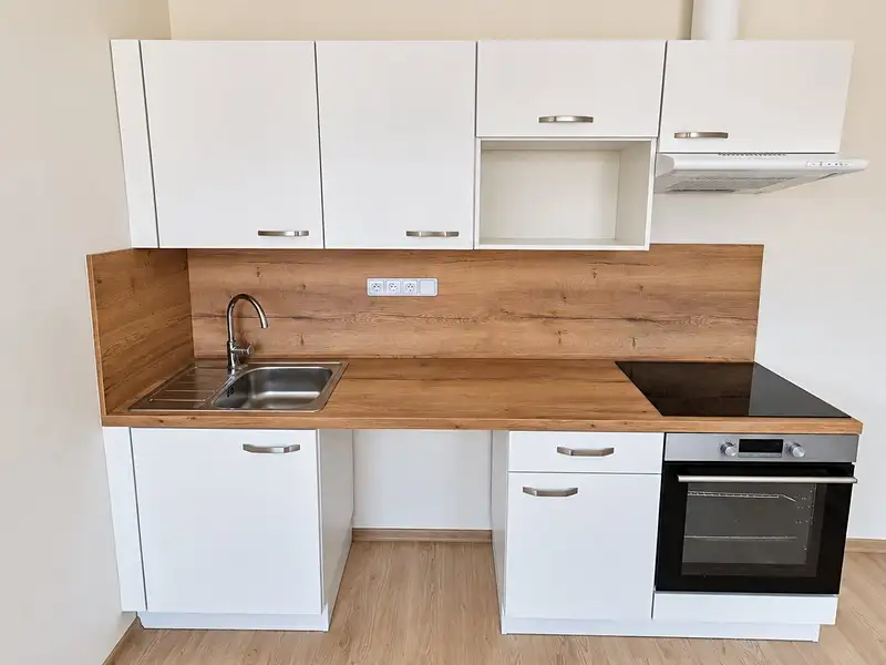 Pronájem bytu 2+kk 35 m², Holasice – náhled fotky 2