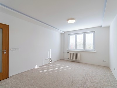 Prodej bytu 2+1, 55 m² (3 z 17)