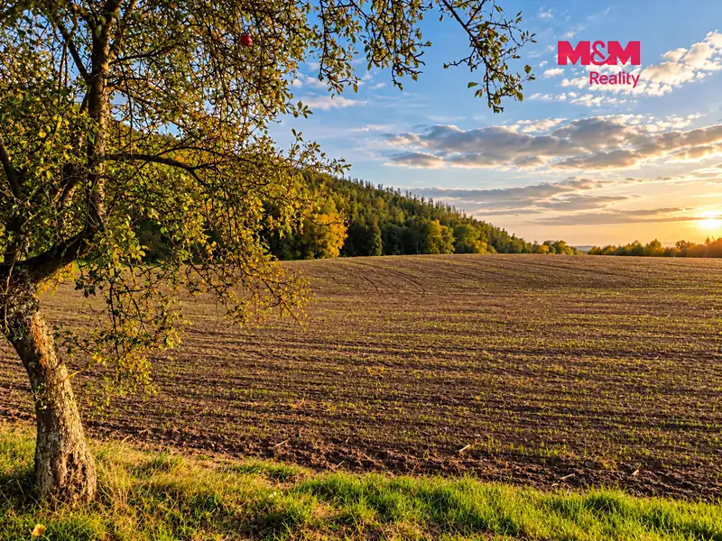 Prodej pole 5592 m², Všechovice – náhled fotky 3