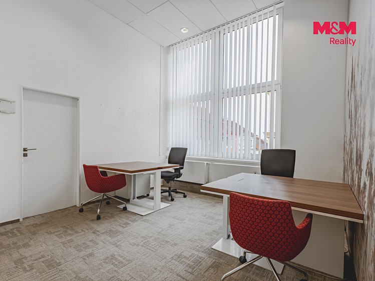 Pronájem komerčního prostoru, 396 m² (11 z 30)