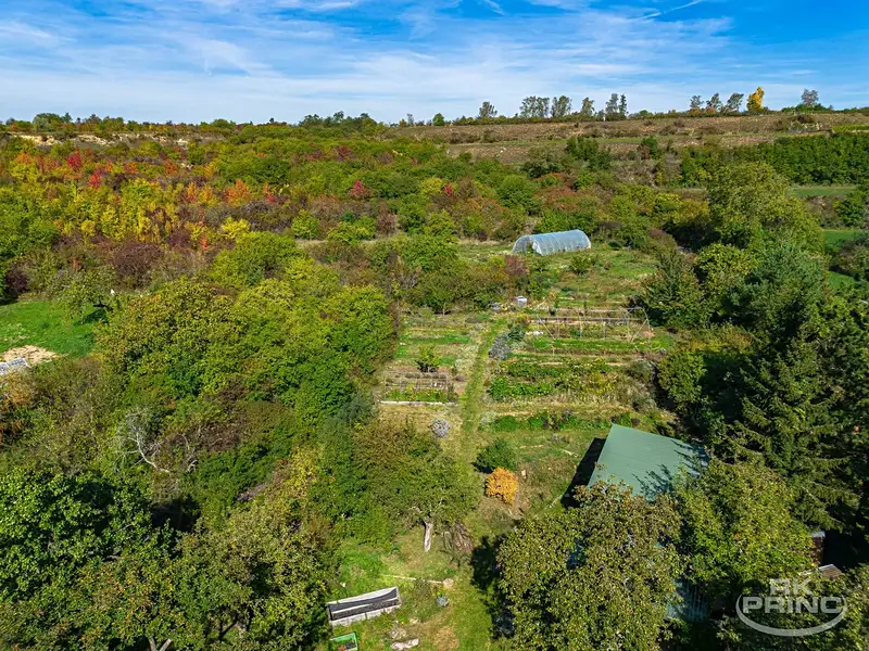 Prodej rodinného domu 300 m², pozemek 6184 m², Cítov – náhled fotky 3