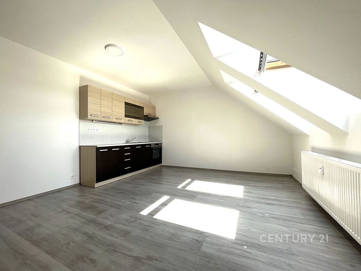 Pronájem bytu 1+kk 38 m²