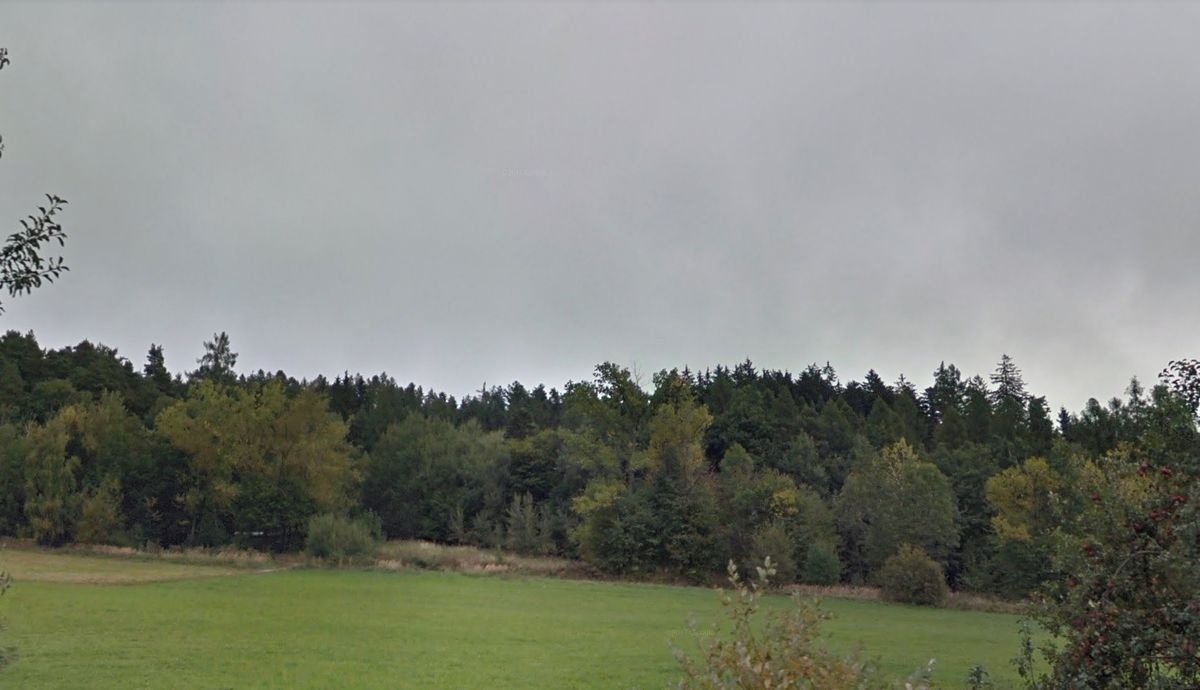 Prodej lesa 8002 m², Nový Jičín – fotka 1 z 3