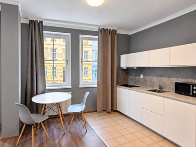 Prodej bytu 1+kk, 31 m² (3 z 25)