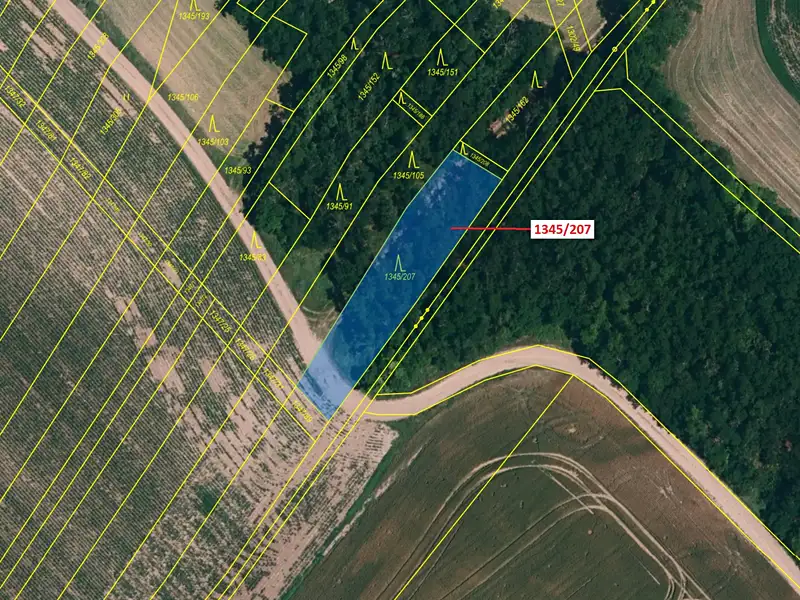 Dražba lesa 1049 m², Morašice – náhled fotky 2