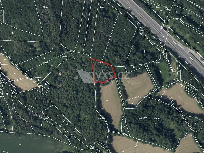 Prodej lesa 4613 m², Kunice – náhled fotky 2