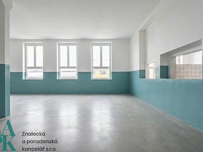 Pronájem komerčního prostoru, 173 m² (2 z 7)