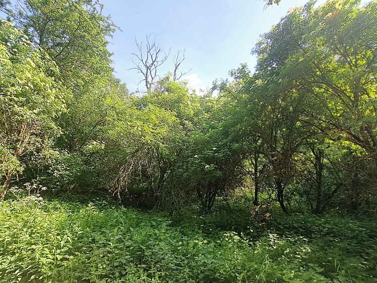 Ostatní