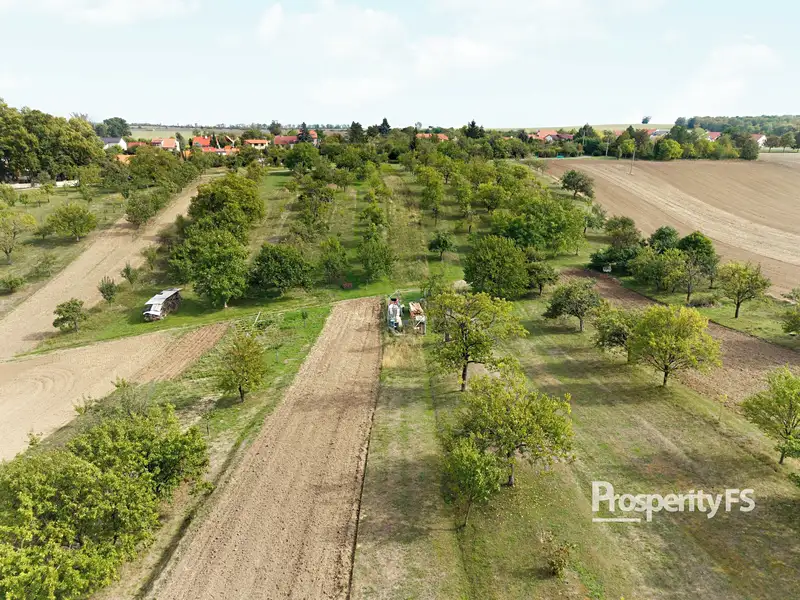 Prodej zahrady 832 m², Prace – náhled fotky 3