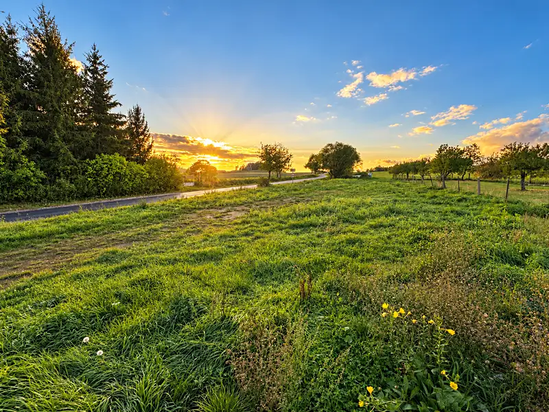 Prodej stavebního pozemku 1259 m², Čmelíny – náhled fotky 2