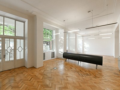 Pronájem komerčního prostoru, 436 m² (2 z 7)