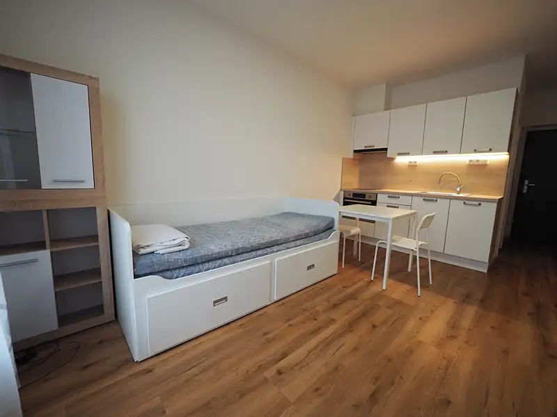 Pronájem bytu 1+kk 22 m², Praha – náhled fotky 1