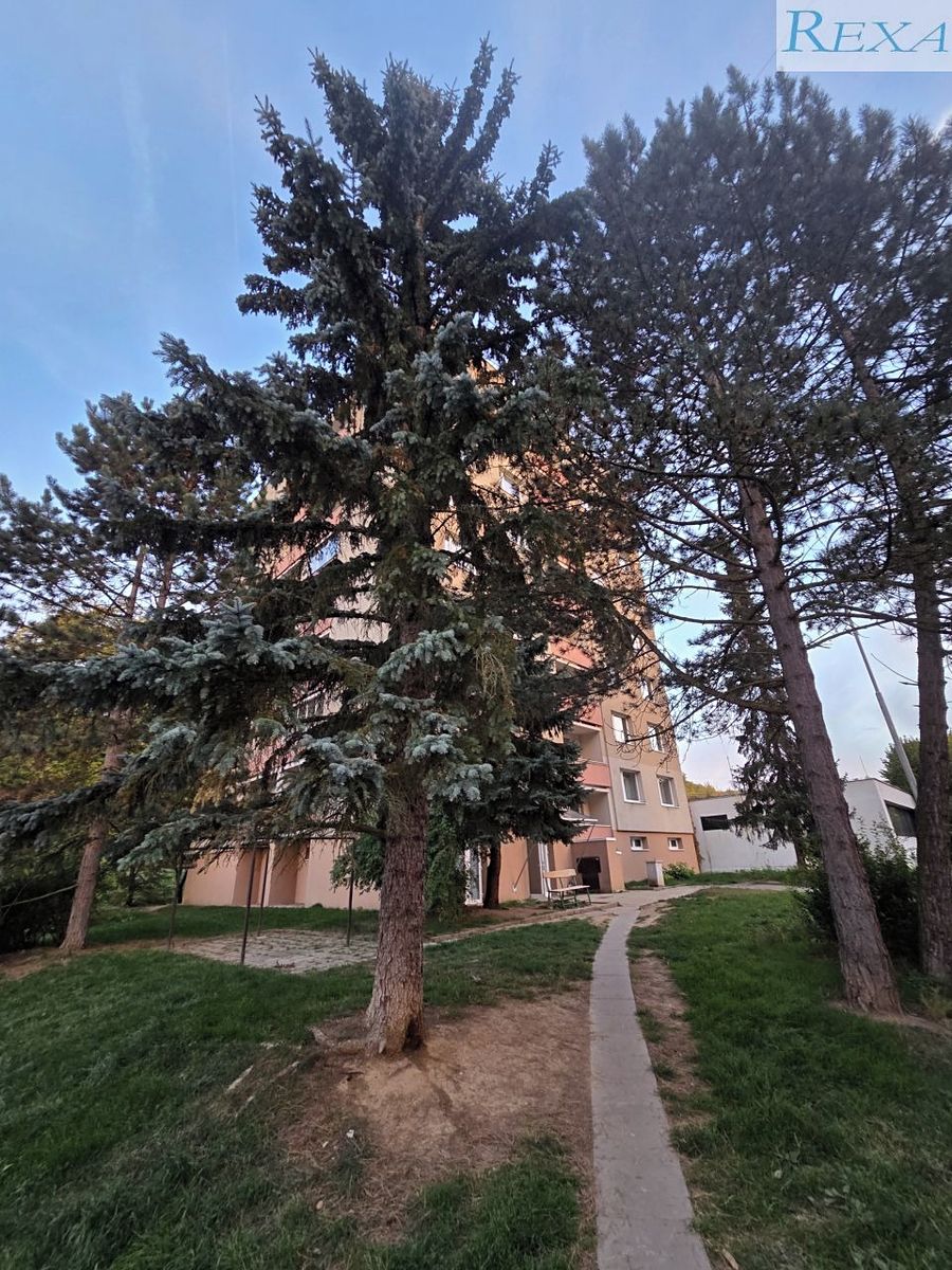 Prodej bytu 1+kk 30 m², Brno – fotka 1 z 3