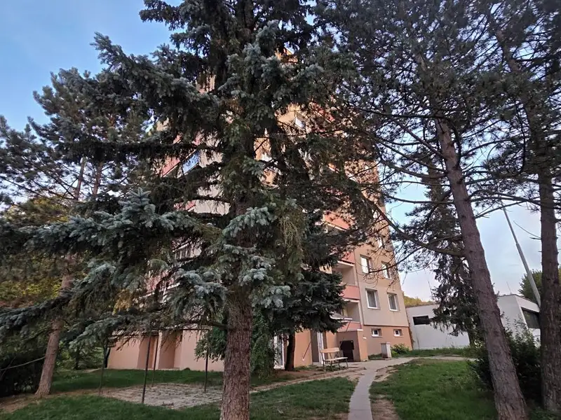 Prodej bytu 1+kk 30 m², Brno – náhled fotky 1