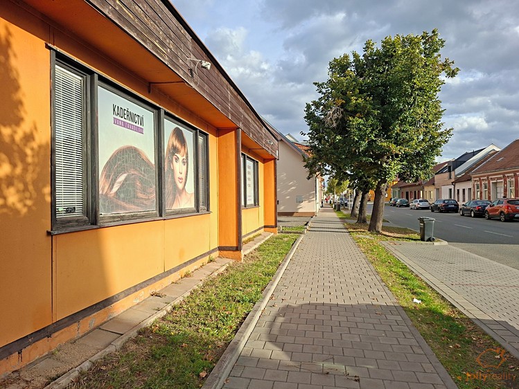 Ostatní