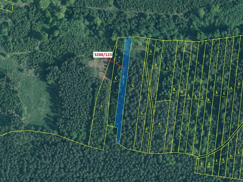 Dražba lesa 1707 m², Hosty – náhled fotky 2
