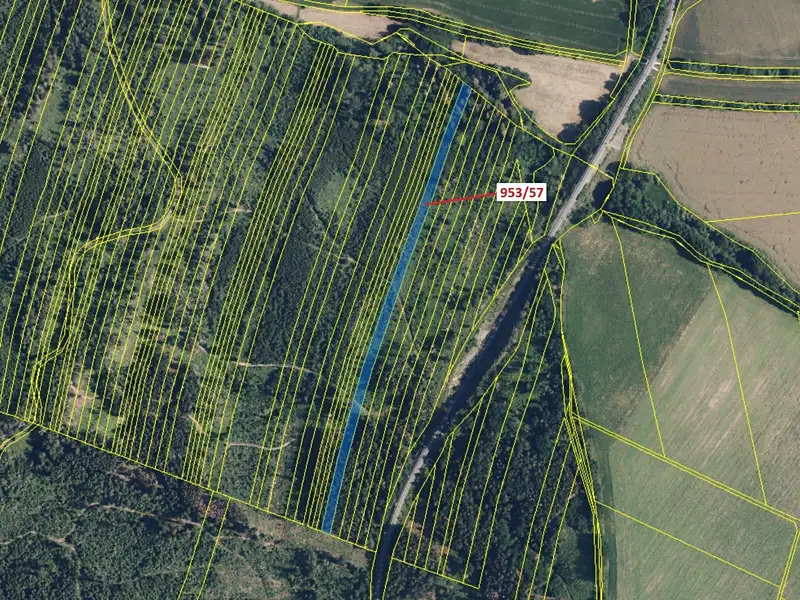 Dražba lesa 6750 m², Nová Hradečná – náhled fotky 2
