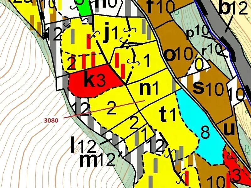Dražba lesa 2540 m², Benešov u Semil – náhled fotky 3