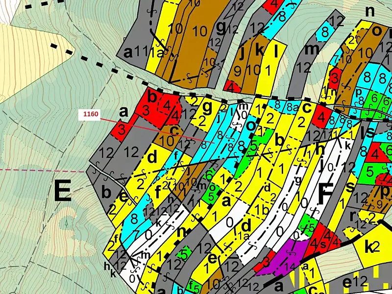 Dražba lesa 2693 m², Vilice – náhled fotky 3