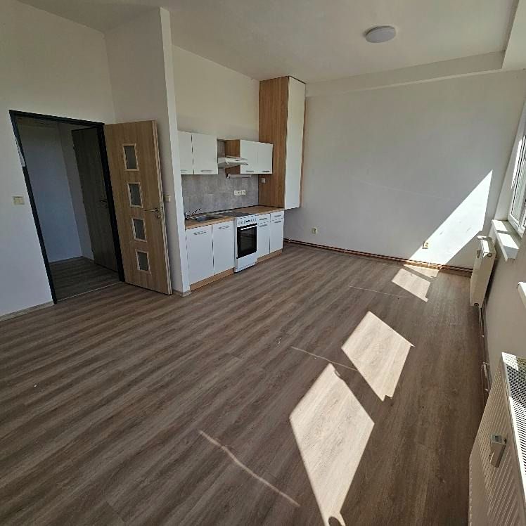 Pronájem bytu 2+kk 50 m², Mlékojedy – fotka 1 z 3