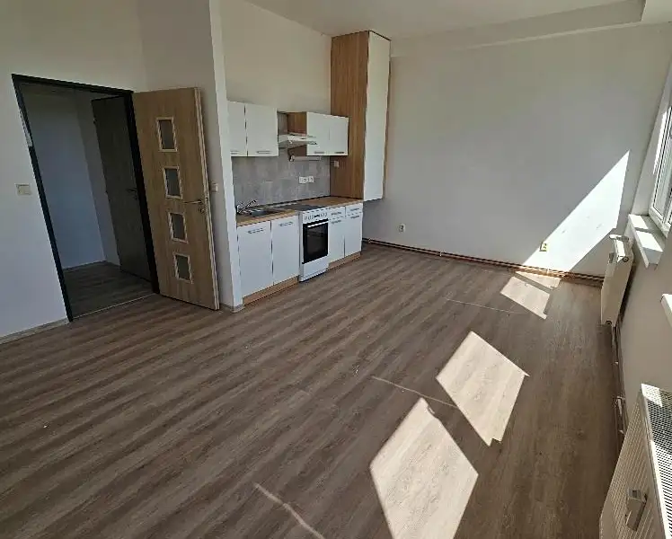 Pronájem bytu 2+kk 50 m², Mlékojedy – náhled fotky 1