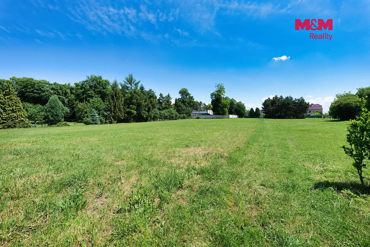 Fotka 8 z 8