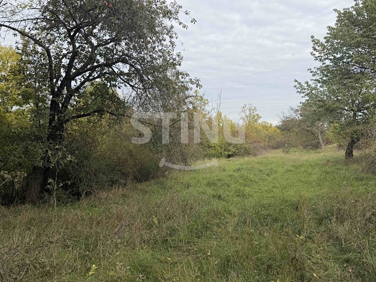 Ділянка на продаж, 10 074 м² (5 з 6)
