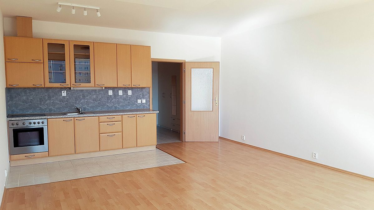 Pronájem bytu 1+kk 44 m², Praha – fotka 1 z 3