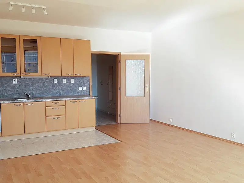 Pronájem bytu 1+kk 44 m², Praha – náhled fotky 1
