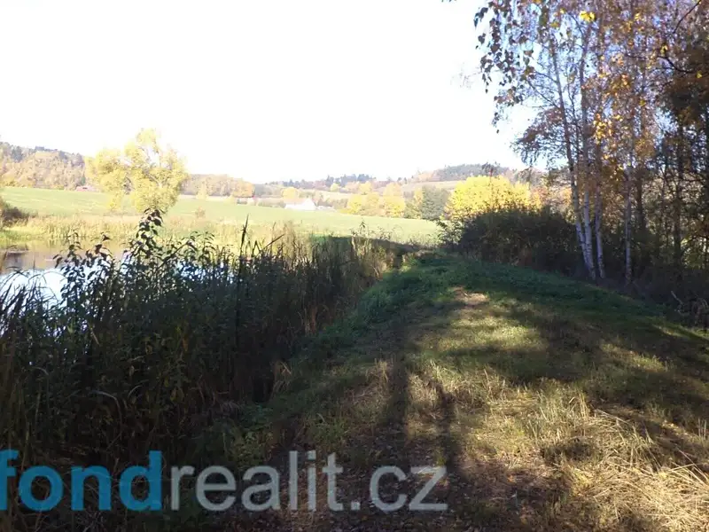 Prodej pozemku 1225 m², Borovná – náhled fotky 3
