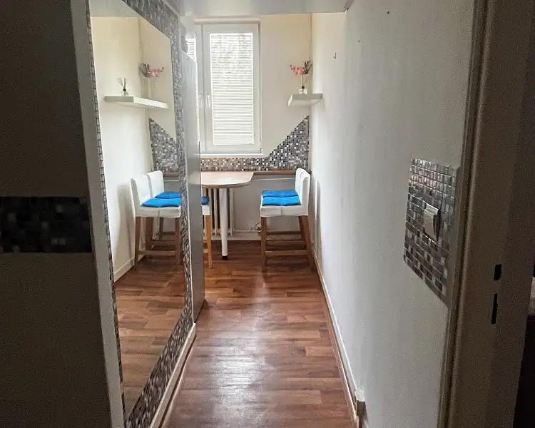 Prodej bytu 2+1 50 m², Ostrava – náhled fotky 3