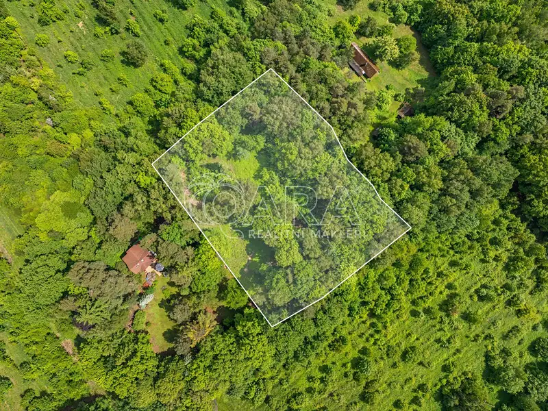 Prodej stavebního pozemku 5519 m², Hrubá Skála – náhled fotky 3