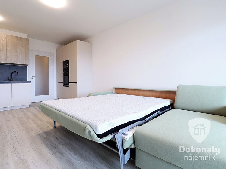 Pronájem bytu 1+kk, 34 m² (9 z 23)