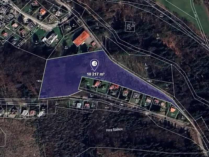 Prodej lesa 10217 m², Malenovice – náhled fotky 1