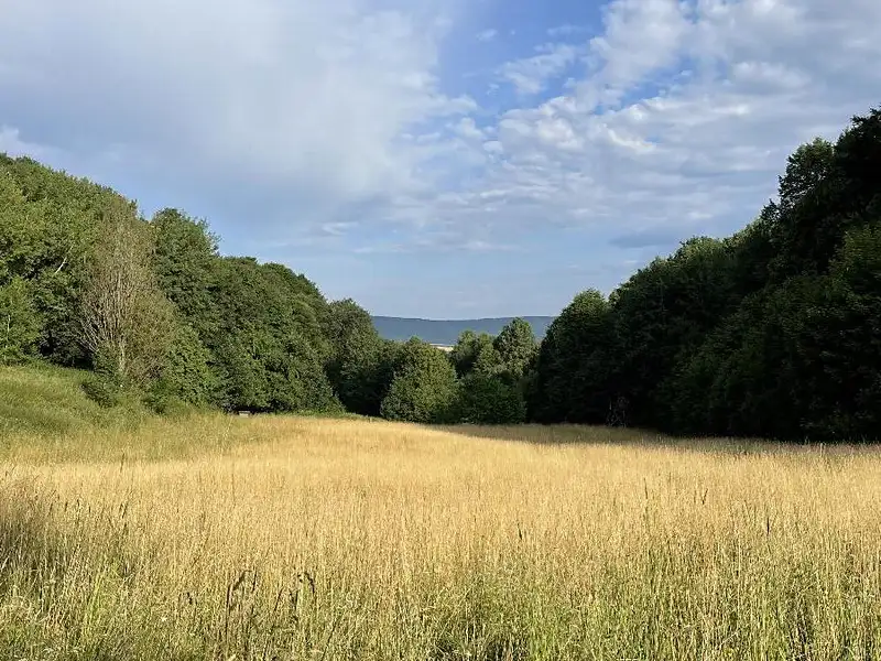 Prodej pozemku 50152 m², Útěchov – náhled fotky 1