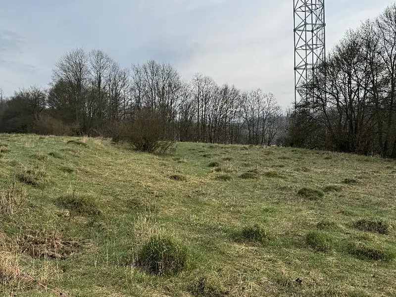 Prodej pozemku 3678 m², Sloup – náhled fotky 2