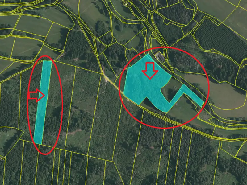Prodej lesa 24200 m², Vacov – náhled fotky 2