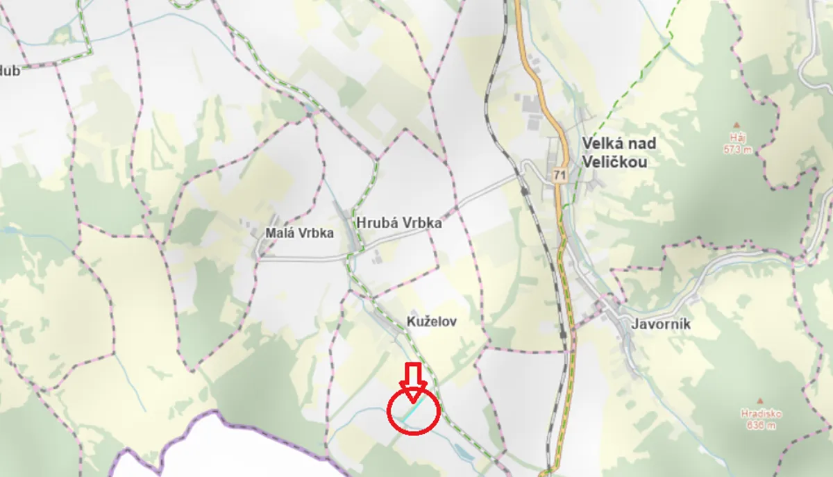 Prodej lesa 2959 m²