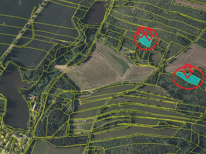 Prodej lesa 4659 m², Studená – náhled fotky 2
