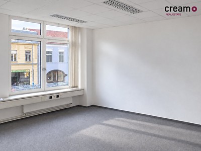 Pronájem komerčního prostoru, 37 m² (2 z 6)
