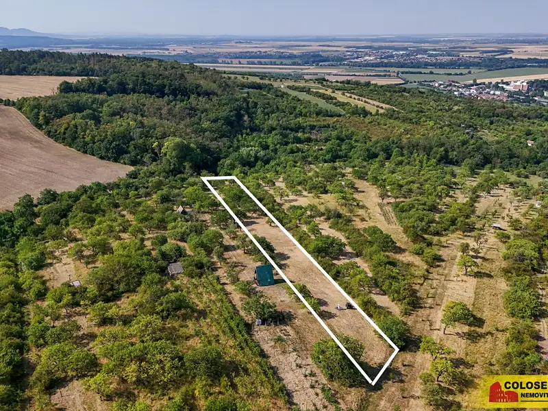 Prodej sadu, vinice 4149 m², Židlochovice – náhled fotky 1