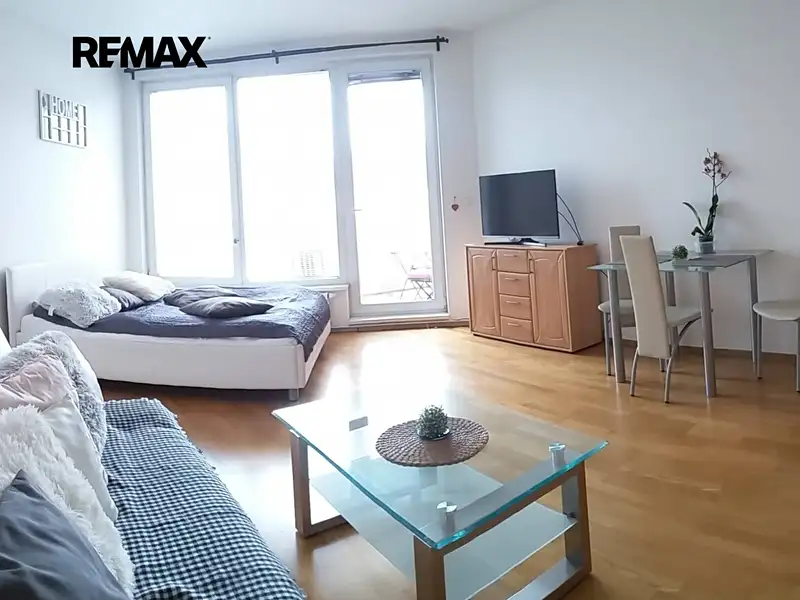 Pronájem bytu 1+kk 33 m², Praha – náhled fotky 2
