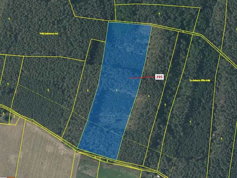 Dražba lesa 33642 m², Libotenice – náhled fotky 2
