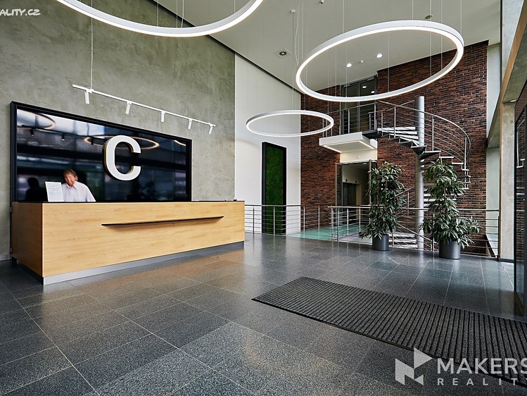 Pronájem komerčního prostoru, 516 m² (5 z 6)