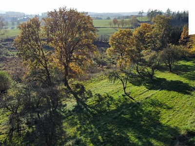 Prodej pozemku, 1 442 m² (3 z 11)