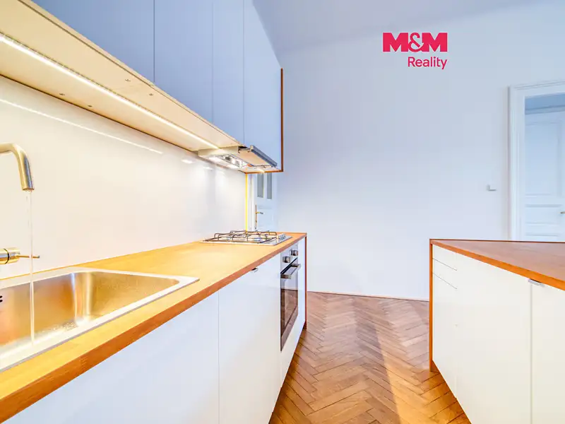 Pronájem bytu 3+kk 109 m², Plzeň – náhled fotky 1