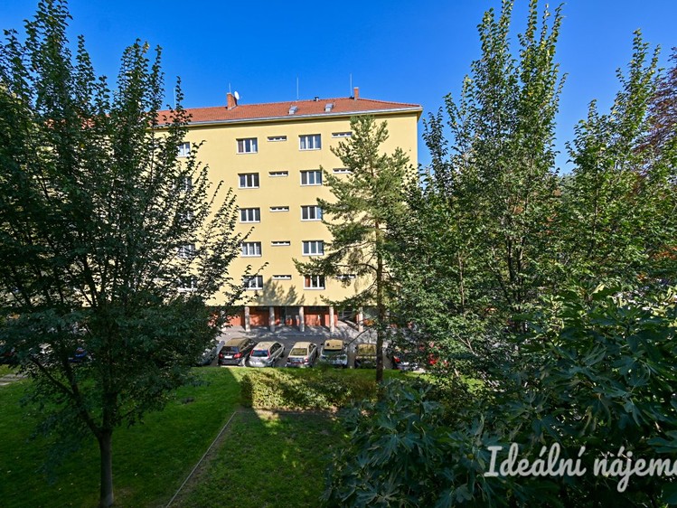 Ostatní