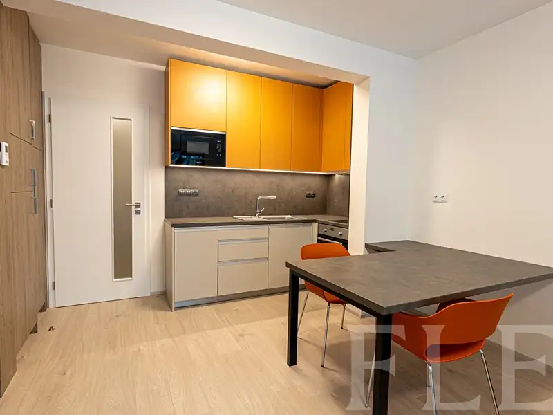 Pronájem bytu 1+kk 36 m², Praha – náhled fotky 1