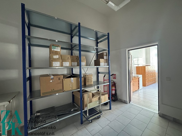 Pronájem komerčního prostoru, 226 m² (27 z 31)